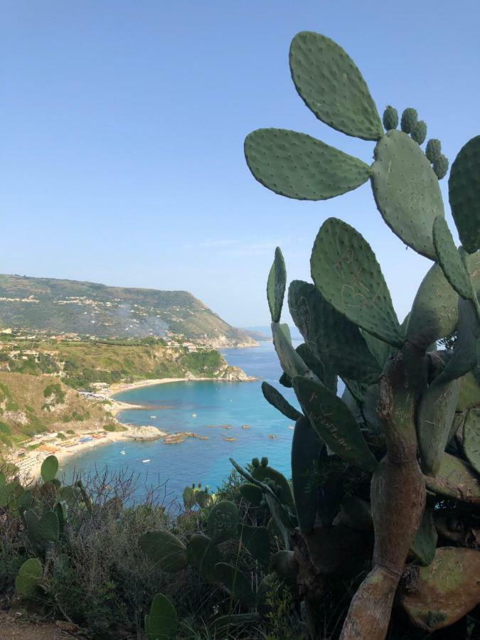 Ferienwohnung La Marinette Tropea Exterior foto